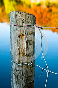 Wooden fence post in autumn