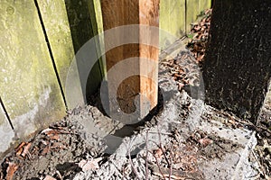 Wooden fence post being concreted into the ground for fence repair photo