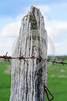 Wooden fence post with rusty barbed wire