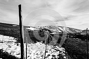 Wooden fence posts and barbed wire marking the property line of a prairie with dried grass and patches of snow under