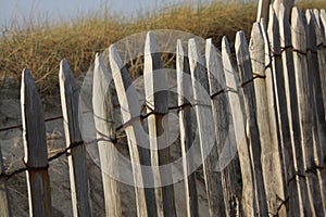 Wooden fence protecting the dunes for beach access