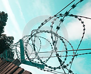 Wooden Fence with Razorwire: A Humble Defense