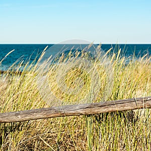 Wooden fence on sea dunes