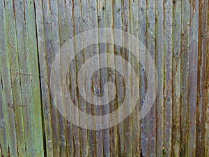 Wooden Fence Showing Signs of Age