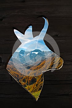 Wooden fence showing silhouette of a chamois infront of autumn landscape with mountain range