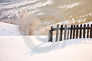 Wooden fence in snow and morning sunlight