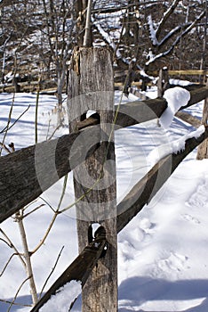 Wooden fence after snowfall