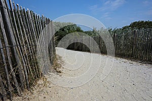 Wooden fence to protect the vegetation in the Dunes of Blankenberge.