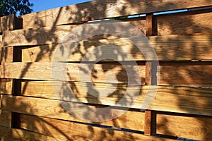 Wooden fence and a tree shadow on it