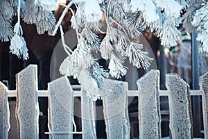 Wooden fence under frost photo