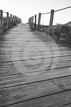 Wooden fence and walkway to beach black and white. Empty path monochrome. Walking concept.