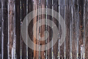 Wooden Fences Texture photo
