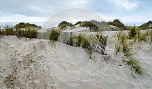 Wooden fences to protect sand dunes