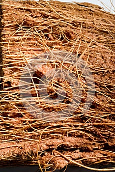 Wooden fibers