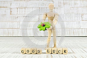 Wooden figure with four-leaf clover and ladybug in front of it the words good luck in wooden cubes