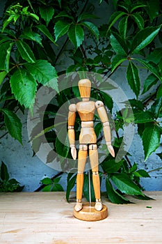 Wooden figure standing in front of grey wall and plant