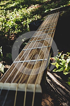 wooden fingerboard seen from above photo