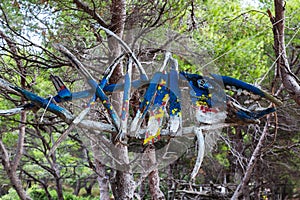 Wooden fish hanging from the trees