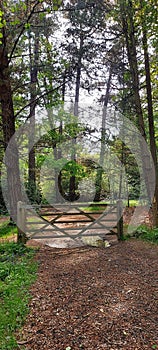 Wooden five bar gate leading to woodland.