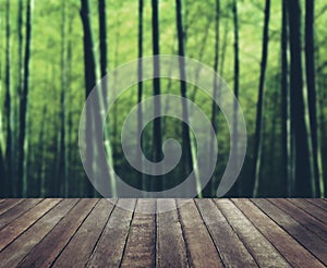 Wooden Floor Bamboo Forest Shoot Serenity Nature Concept