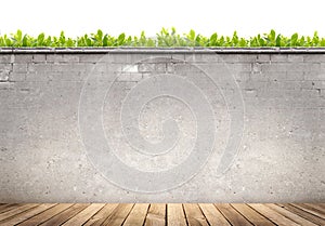 Wooden floor and concrete wall on green leaves background