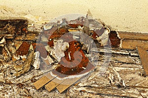 Wooden floor decayed by dry rot