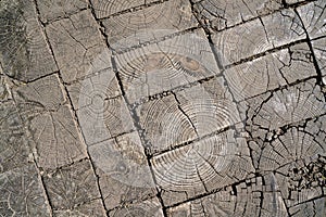 Wooden floor photo