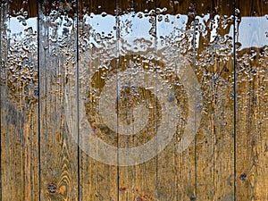 Wooden floor with rain puddle
