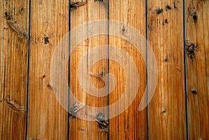 Wooden Floorboard Background