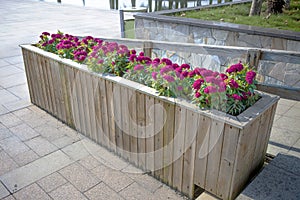 Wooden flower bed