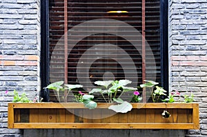 Wooden flower box in window