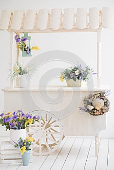 Wooden flower cart. Garden and flowers. Detail of the interior