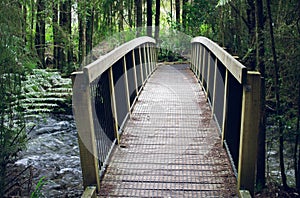 A wooden foot bridge crossing a river in a forest