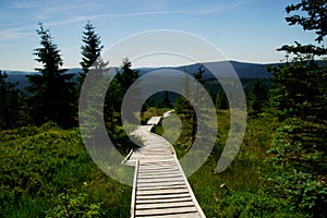 Wooden foot-bridge in the Isera mountains