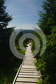 Wooden foot-bridge in the Isera mountains