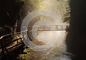 Wooden foot bridge in misty morning