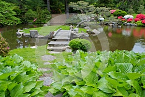 Wooden Foot bridge in old Japanese Gardens
