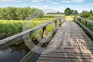 Wooden foot bridge over a small creek