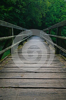 Wooden footbridge