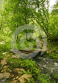 Wooden footbridge