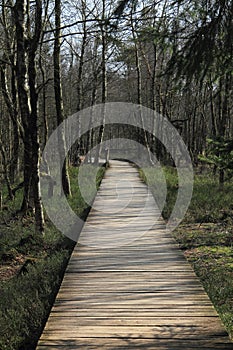 Wooden footbridge