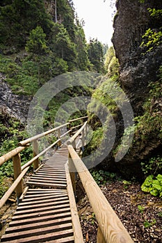 Wooden footbridge across stream