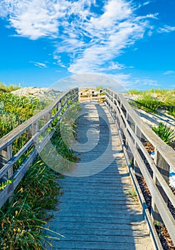 Wooden footbridge on the beach