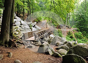 Wooden Footbridge Within Boulder Rocks At Felsenmeer In A Forest In Odenwald Hesse Germany