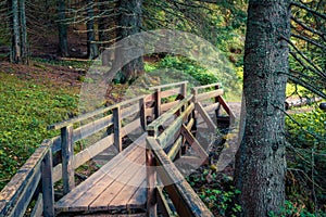 Wooden footbridge in the fabulous forest, Black Lake Crno Jezero location.Mistycal summer scene of Durmitor Nacionalni Park, Zab