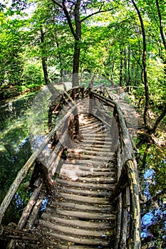 Wooden footbridge in forest at .Strandzha nature park in Bulgaria