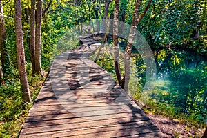 Wooden footbridge among green forest in Krka National Park, Lozovac village location, Croatia, Europe. Sunny morning scene of pure