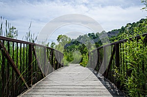 Wooden footbridge in a nature conservancy area photo