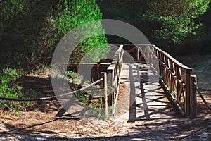 Wooden footbridge in nature reserve