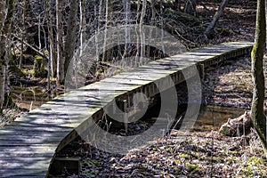The wooden footbridge on a nature trail in the park